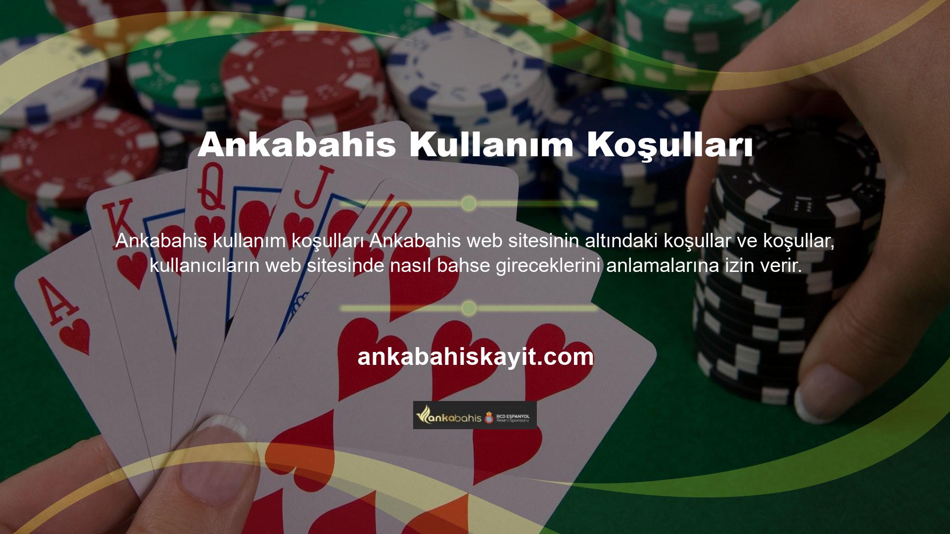 Web sitesi sahibi, web sitesi adı, alan adı ve IP adresi gibi servis sağlayıcısına gerekli bilgileri sağlamalıdır